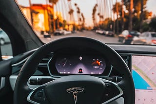 There is One Truly Common Factor in Bitcoin-Tesla Comparison