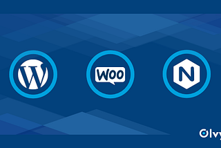 Top 5 Tips for Choosing WordPress Hosting
