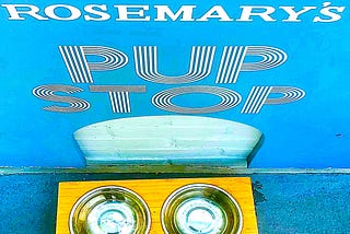 Rosemary’s Pup Stop— A Water Bowl Review by My Dog, Pops