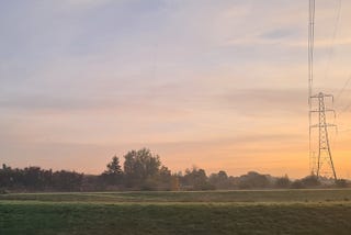 Sunrise over rural landscape including electricity pylon, trees and grass