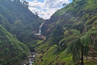 Wandering around São Miguel island ( Azores archipelago)