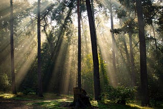 Abracemos nuestras sombras para crecer