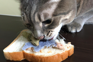 a cat eating disgusting food