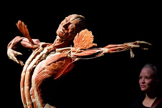 Top Secrets of the Human Body : The Brilliant Artwork