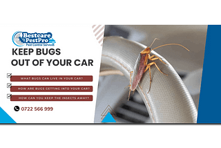 Whether you clean your car regularly or hire professional Motor vehicle pest control in Nairobi, Kenya, keeping pests away from your vehicle is crucial. Pay attention to food storage, seal any entry points, and consider using pest control products or services when necessary.