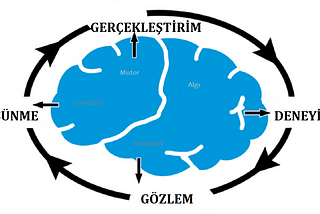 Kolb’un Öğrenme Stilleri Ve Farklı Yaklaşımlarla Öğrenme Döngüsü