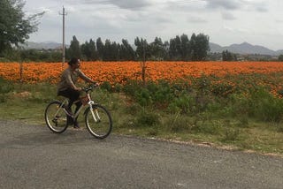 A Cycling day out