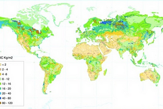 Climate Understanding: Plants and Soils.