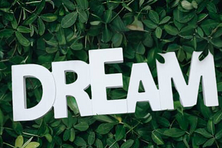 Soldreamers: Where Dreams Find Their Way