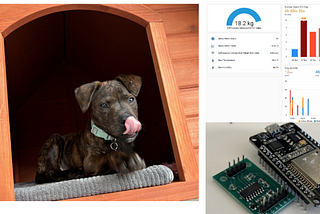 Puppy data