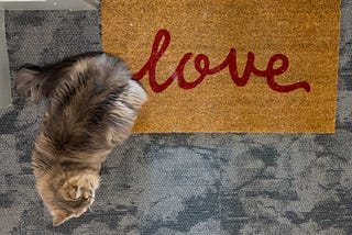 Muffin — In Love and At Home