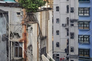 os grandes arbustos no pequeno terreno baldio ao lado da linha do trem