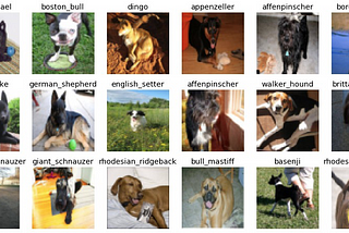 Dog Breed Classification: hands-on approach