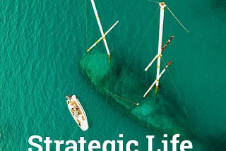 The Strategic Life Narrative Practice: The “Theme” Group