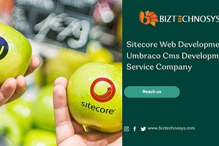Sitecore web development and Umbraco cms development service company