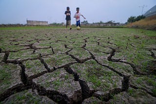 The Dismal Failure of Indian Agriculture