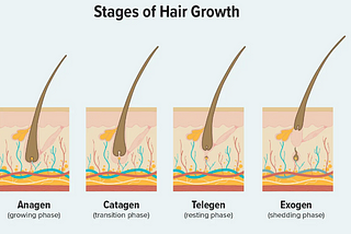 Is Your New Hair Product Making You Lose Hair?When to Worry and When to Relax