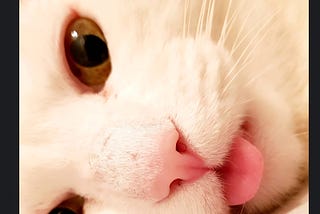 🖤LOVE WEll & PRO[S]PER🤍