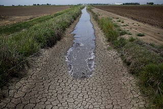 California Drought Deepens After Decades of Mass Immigration