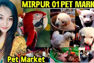 Pet Market in Bangladesh ।। পোষা প্রাণীর বাজার ।। @vumipetshouse