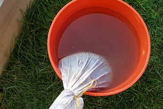 Manure Tea in Your Victory Garden: Sustainable Practices for Flourishing Growth