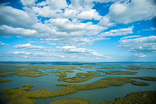 Giant leap forward after 1.1 billion dollars was given towards restoring the Everglades