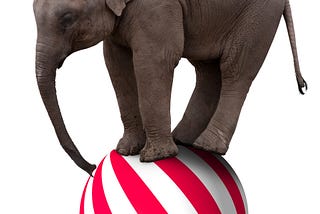 The Red Meat Trumpathon — How to Exploit True Believers For Financial Gain — It’s Easy!