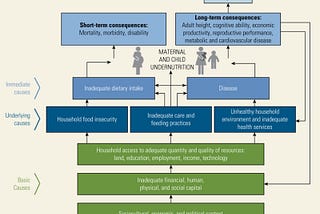 Health Inequities and Social Determinants of Malnutrition in India