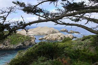 Death and Life at Point Lobos