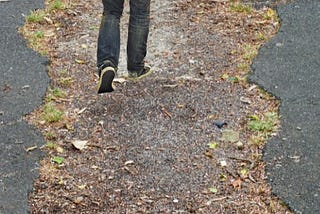 person walking on a path