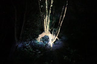 There is no end