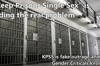 “Keep Prisons Single Sex” is hiding the real problem