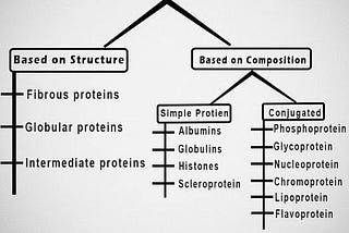 Classification of Proteins And Their Functions Based On Their Structures