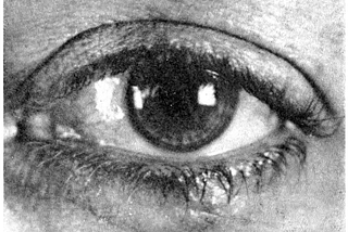 List: 吉川速男 [年譜、著作リスト、書き起こし] | Curated by Izumi
