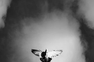 Come Holy Spirit