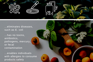 Blockchain X Cell-based Foods