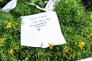 Murder of the Innocent in D.C.