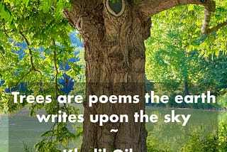 Trees are Poems the Earth writes upon the Sky -Khalil Gibran