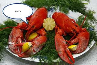 I trained a neural network on Red Lobster tweets and all it does is generate apologies