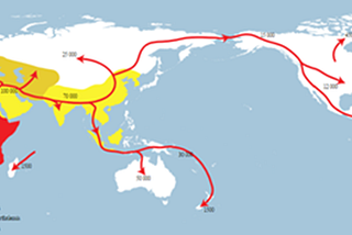 Image of map of hominid migration routes