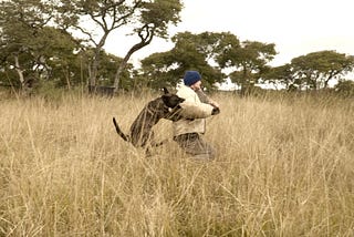 I Got Mauled by an Anti-Poaching Dog in Zimbabwe
