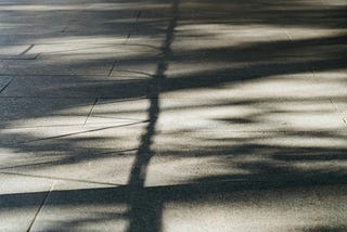 Filtered light casts soft, intersecting shadows on a tiled floor, creating a quiet pattern of presence and absence.