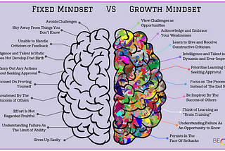 The Entrepreneur Agile Life