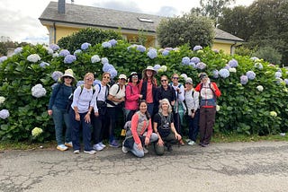 A group of thirteen women pose for the camera on the street in front of a tall hydrangea bush with large blue and white flowers.