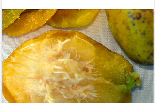 Fruta de origem do arquipélago da Oceania, também chamado de cajarana, taperebá-do-sertão e…