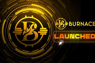 Introducing 🔥BURNACE, the world’s highest hyper-deflationary token with unique burn methods.