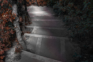 Down concrete stairs in the middle of the dark forest