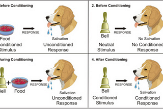Blackjack, Stocks, and Reinforcement Learning