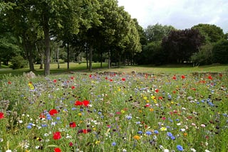 A field of wildflowers full of multiple colored blossoms sits in the foreground. From the left and to the center are bushy trees and green grass. The sky is white to light blue and partially overcast.