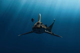 A large gray shark swimming in the ocean